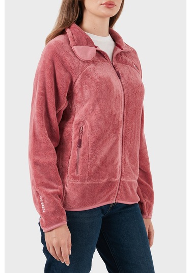 Norway Geographical Bayan Polar Upalıneb Pembe Pembe