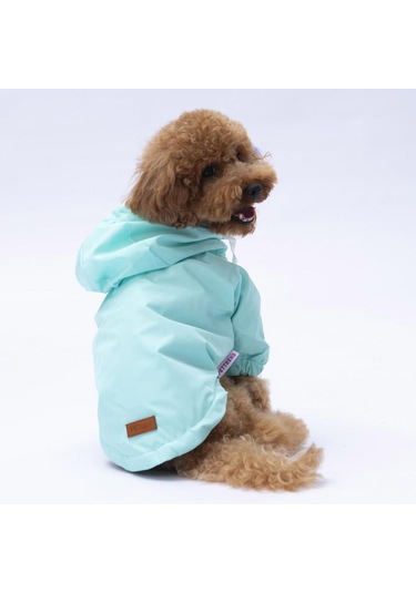 Mint Mont Köpek Mont Köpek Kıyafeti Köpek Yağmurluğu