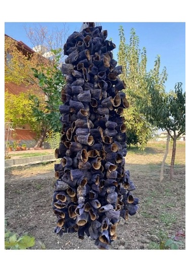 Hatay Çiftliği Kuru Patlıcan 45-50ad