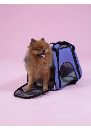 Bobrıkgora Kedi Ve Köpekler İçin Katlanabilir Taşıma Çantası 309987997