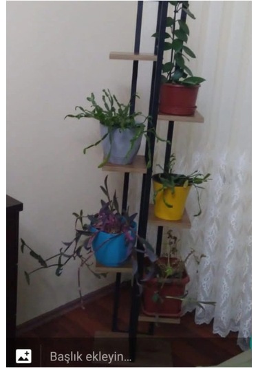 7 Bölmeli Çiçeklik, Saksılık, Çiçeklik Standı