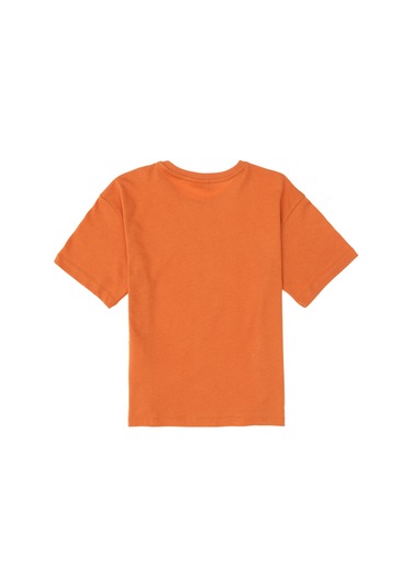 U.s. Polo Assn. Erkek Çocuk Tarçın Tişört Basic 50295503-vr191 Tarçın