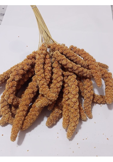 Kızıl Dal Darı Doğal 1000 Gr