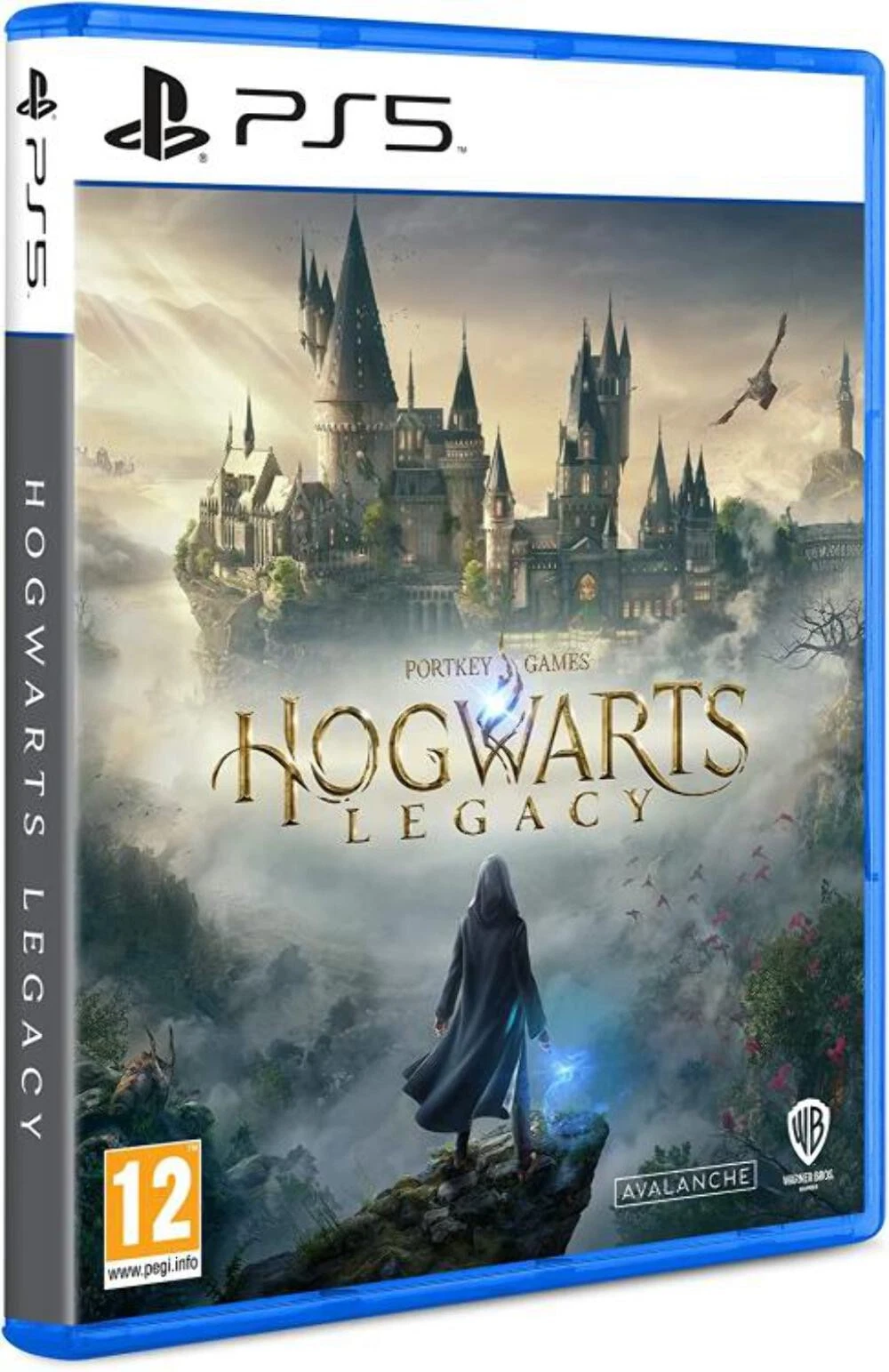 Hogwarts Legacy Ps5 Oyun Cd Teshir
