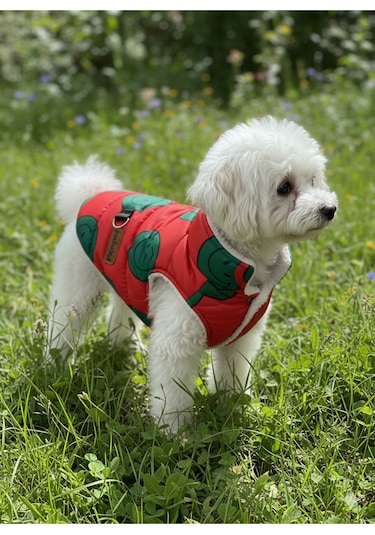Patilinka Kedi Köpek Kışlık Kıyafet Mutlu Şişme Yelek Mont