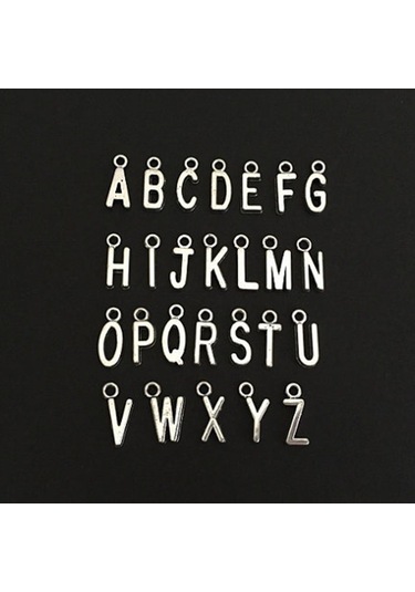 Reedark Şık Ve Dayanıklı Çelik Köpek Tasması: Oğluma Özel Kolye Ve Anahtarlık Aksesuarı