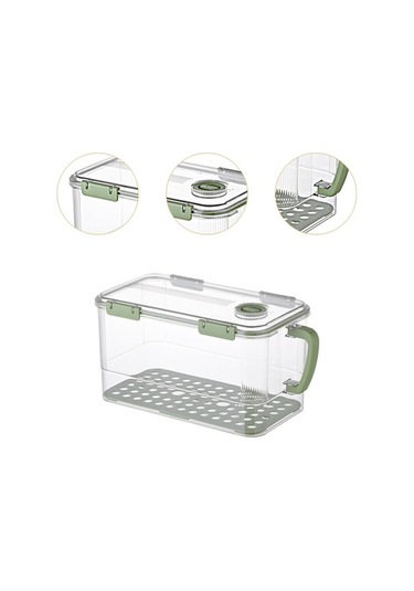 Pazly Yumurta Suntek Kutusu İçin Gıda Ev Dolabı Depolama Ef Yeşil