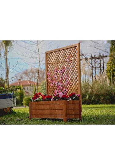 Mandu Ahşap Sarmaşık Saksı