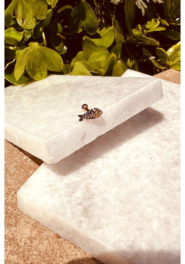 Balık Tasarım Özel Tasarım Rose Gold Renk Stainless Steel Çelik Tragus Helix Piercing