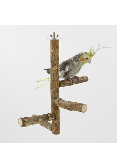 Gajeena Kuş Kafesi Aksesuarı: Doğal Biber Ağacı Kuş Konaklama Çubuğu, Tırnak Ve Diş Taşlama Oyuncaklı Kuş Perçesi