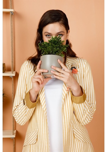 Çizgili Sol Yaka Broslu Spor Ceket Sarı