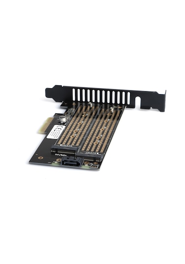 Dark DK-AC-PEM2X2 Sata + Nvme M.2 SSD PCI-E Kartı Dönüştürücü