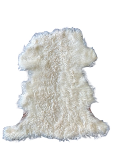 Gerçek Uzun Tüylü Koyun Postu Krem 70x50 Cm