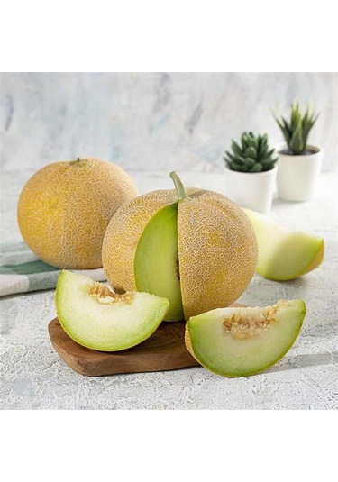 Biton F1 Kavun Tohumu 10 Tohum