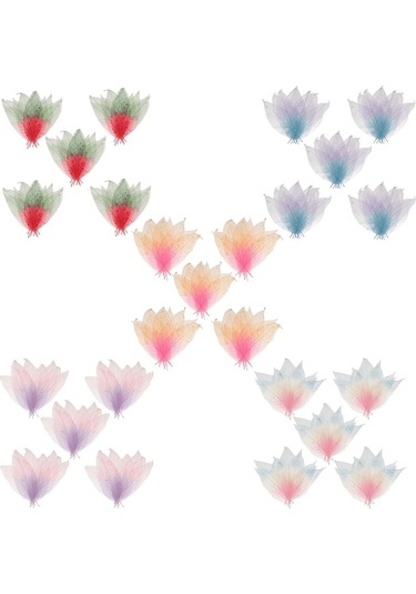 Suntek 50 Parça Doğal Manolya İskelet Yaprak Yaprak