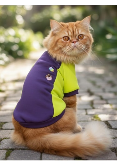 Dondurmalı Patiler Mor Ve Fosforlu Sarı Kedi Polar Sweatshirt