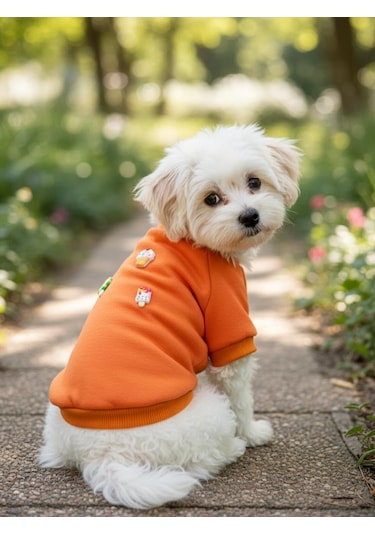 Ice Cream And Cupcakes Köpekler İçin Polar Sweatshirt