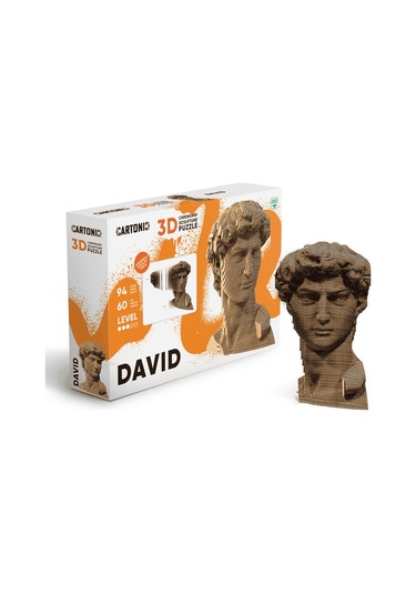Cartonic 3d Puzzle - Davıd