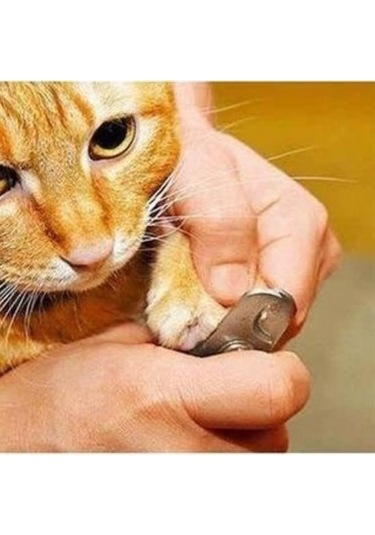 Buffer Evcil Hayvan Tırnak Makası Ve Törpü Seti Manikür Pedikür Pati Bakım Aleti Kaymaz Sap Çok Renkli