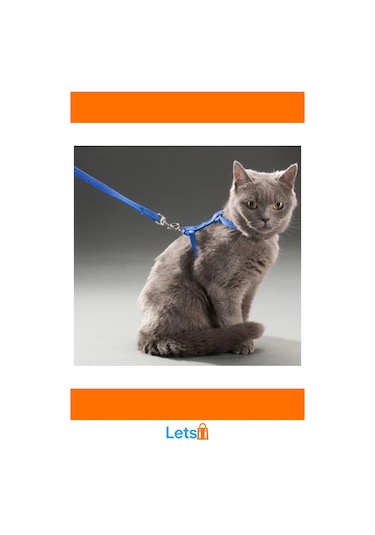 Ayarlanabilir Renkli Kedi Tasması 120cm