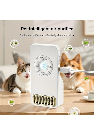 Willowhaven Dıngshı 8812 Akıllı Hava Temizleyici Oto Stop, Usb Şarj, Ozon Jeneratörü, Koku Giderme, Dezenfeksiyon