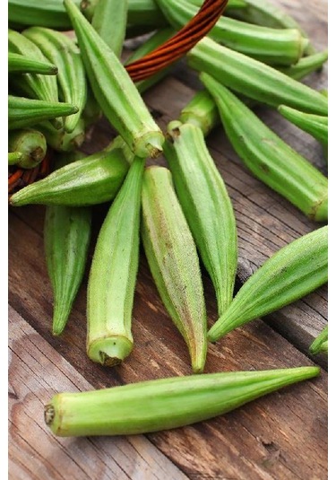 +100 Adet Bamya Tohumu