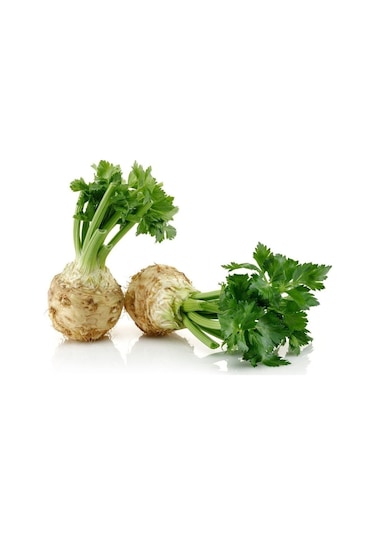 Kereviz Tohumu Çanakkale Kök 25 Gr