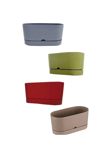 4 Adet Polıwork Saksı Balkon Begonya 30 Cm