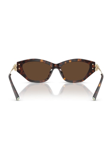 Tiffany Tf4231u 80153g 53 Kadın Güneş Gözlüğü Kahverengi