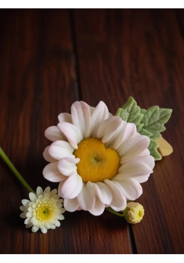 Koroleva Formy Gıda Silikondan Papatya Kalıbı 180521782 Diğer