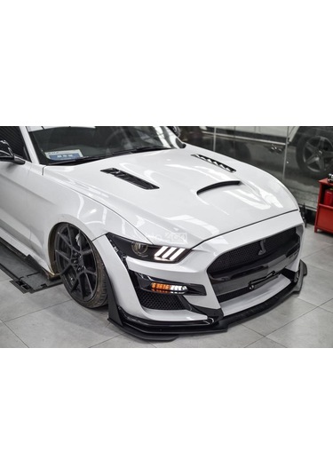 Ford Mustang Gt500 Shelby Ön Tampon 2015-2017