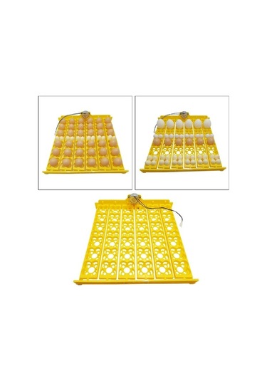 Pazly Suntek Motor Kümes Kuluçka Hayvanları Dc Cihazı Çiftliği Jn