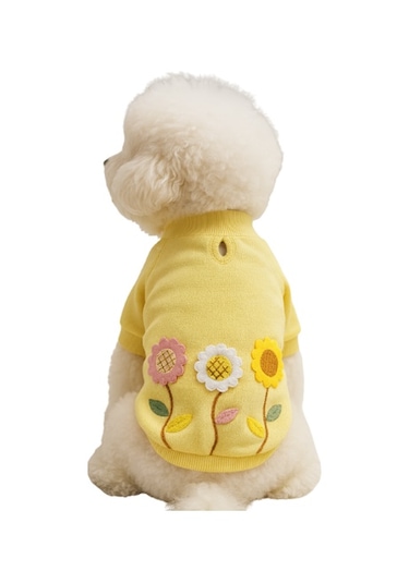 Gedyco Daisy Yellow İçi Polarlı Küçük Irk Köpek Sweatshirtü