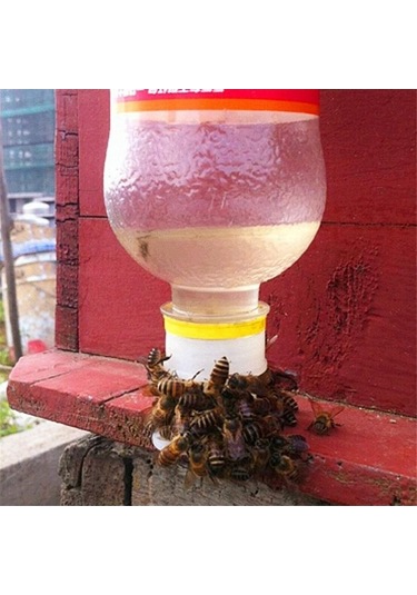 Pazly Suyu Suntek Su Içme Ekipmanları Besleyici Arı Paket 10 Adet Vf