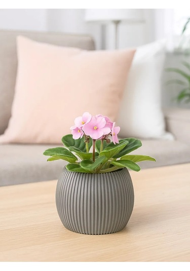 Idea Ev Çiçekleri Ve Sukulentler İçin Saksı 0,35 L 147332935