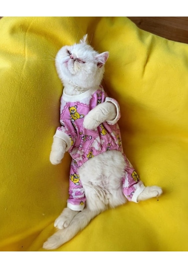 Toad Teddy Penye Kedi Tulum Ve Yastık Takım Uyku Seti