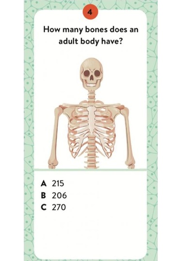 Human Body - The Ultimate Atlas Canlı Renkler
