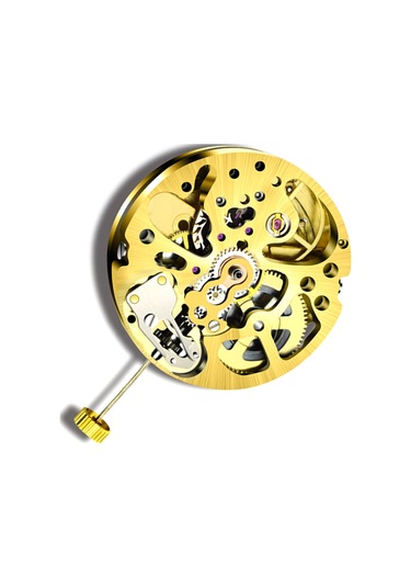 Xurunkeji Altın İskelet 2004 Hareketi Sıradan Sarkaç Ayarı Radyasyon Desenli Tam Otomatik Saat Hareketi Altın