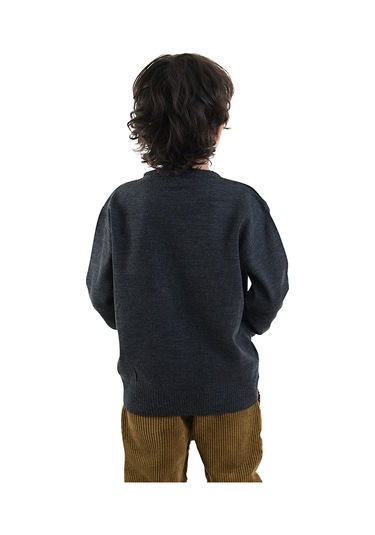 Denokids Hayvanlar Erkek Çocuk Triko Kazak Renkli