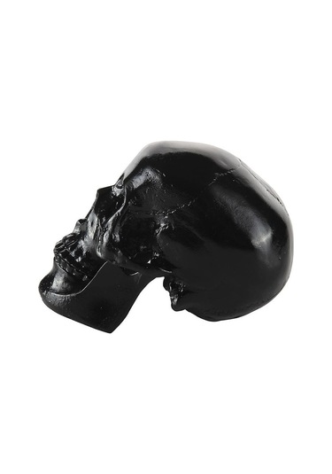 Suntek Reçine Çoğaltma Sanat İnsan Kafatası Modeli Parti