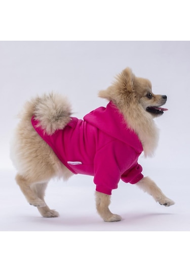 Pettrend Tavşan Kanguru Cepli Kedi-Köpek Hoodie Sweatshirt