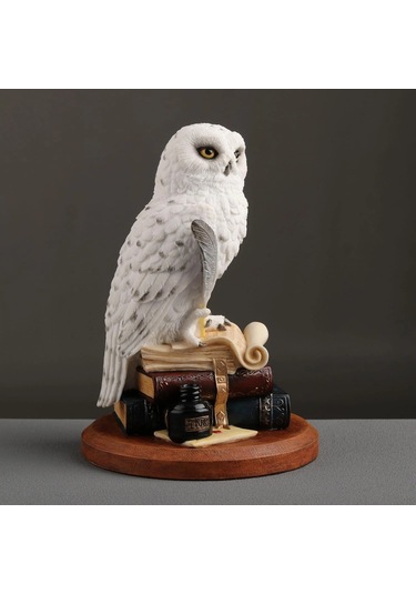 Kitap Üzerinde Beyaz Kar Baykuşu Hedwig Biblosu