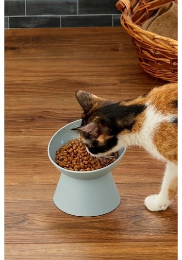 Yüksek Ayaklı Evcil Hayvan Mama Kabı - Mavi