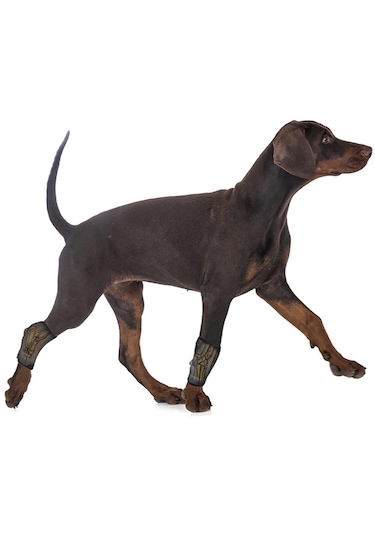 Homyl Artritten Stabilite Kaybı Için Köpek Bacak Brace Destek