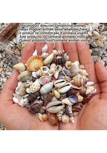 Willowhaven 500g Renkli Mini Kabuk Kum Karışımı Dıy El Sanatları Akvaryum Dekorasyon