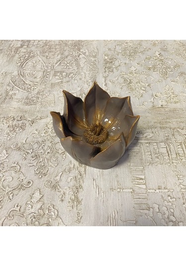 Küçük Lotus Nilüfer Çiçeği