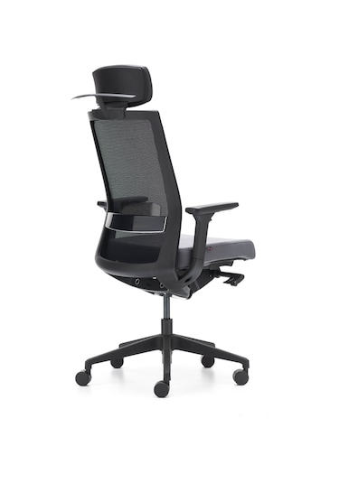 Rapido Rapido Başlıklı, Ergonomik Çalışma Koltuğu A-One