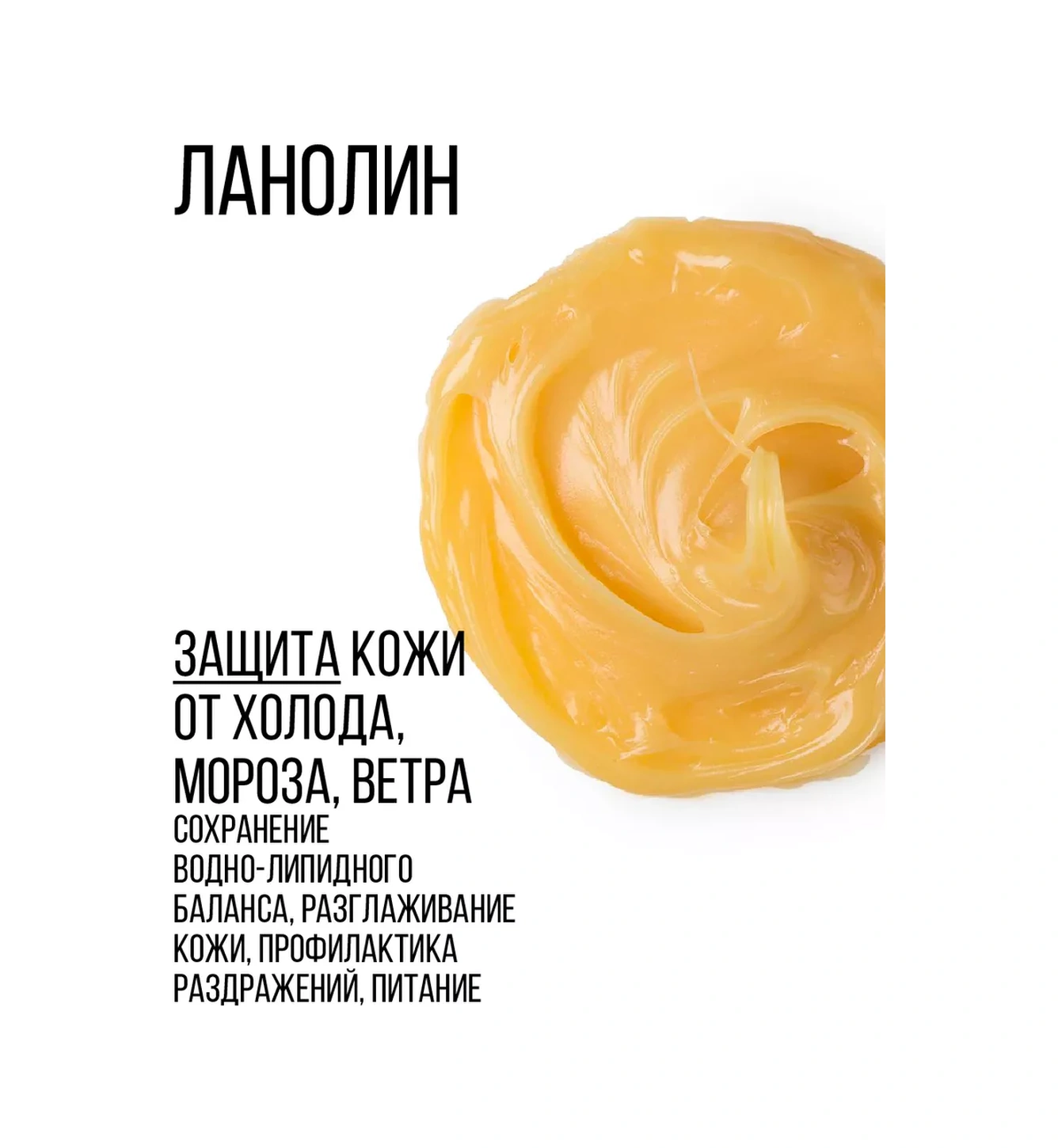 Cleanagent Klorheksidinli Köpek Patileri İçin Şampuan, 5 Litre. 25942421