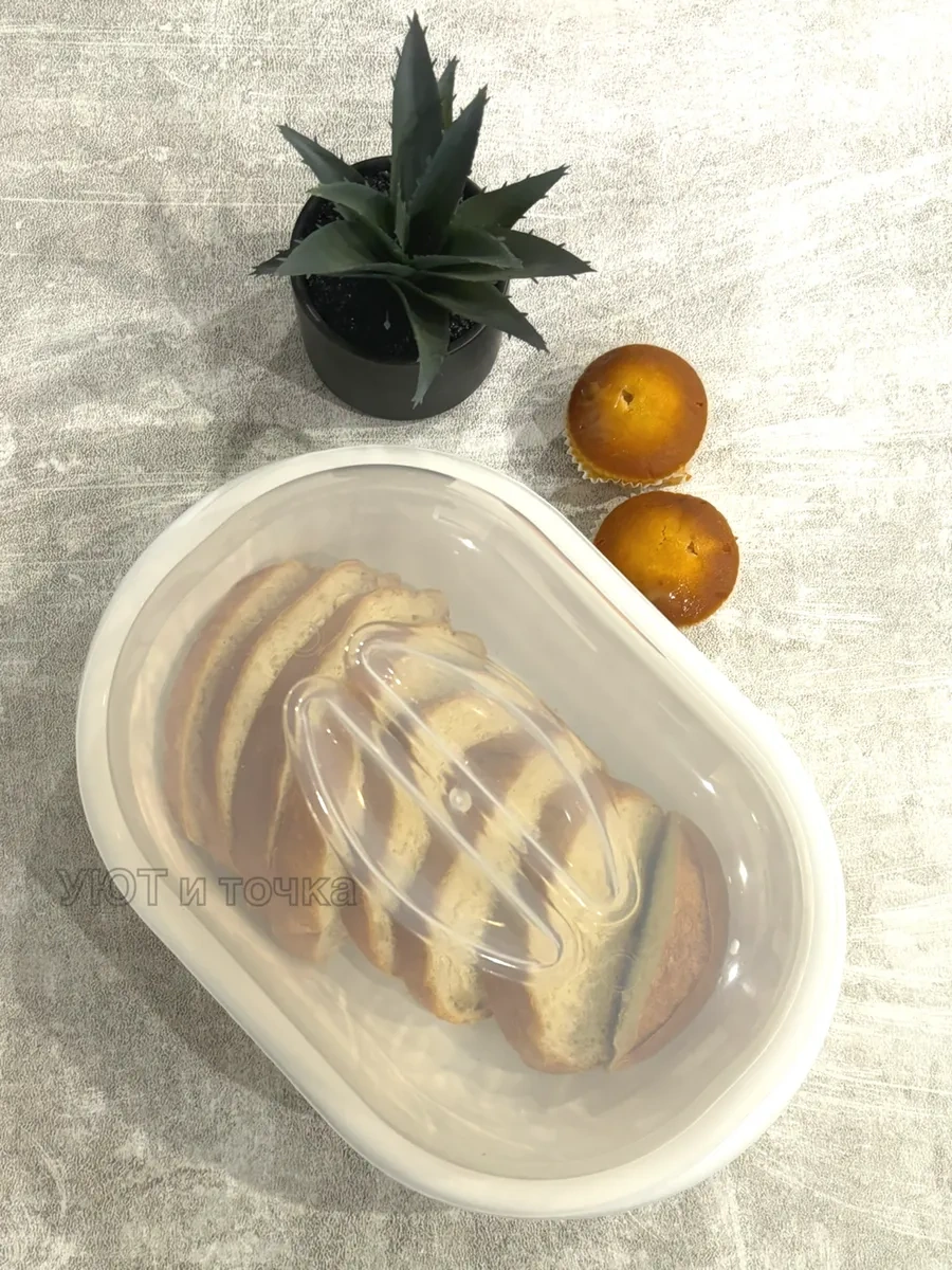 Uut İ Tocka Kapaklı Plastik Ekmek Kutusu Kruton Kabı 2 Adet 348007609 Bej