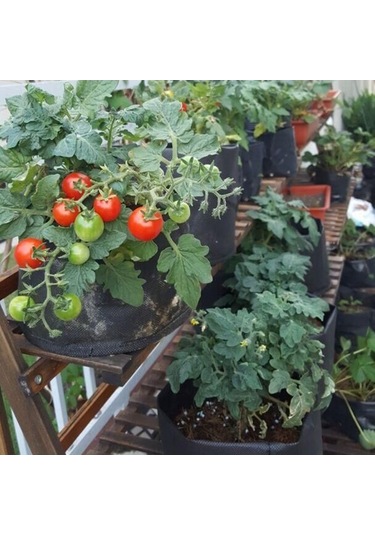 Ulzyvf Yetiştirme Torbaları Seti - Saksı Kumaşı, Farklı Boyutlarda, 5'li Bahçe